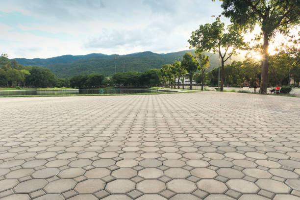 Best Local Driveway Pavers  in Pine Level, NC