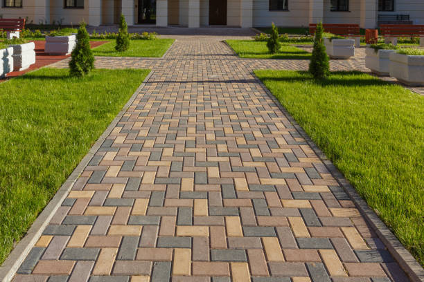 Best Driveway Paving Contractor  in Pine Level, NC
